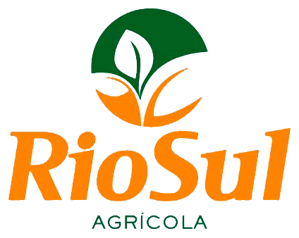 RioSul